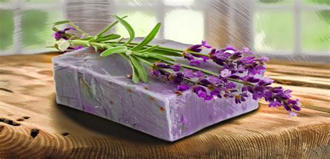 Organic Lavender Soap Benefits: Why you should use it