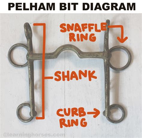 Understanding Pelham Bits & How They Work | LearningHorses.com