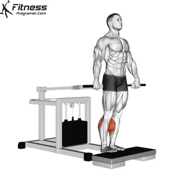 Bench Press Machine Standing Calf Raise » Workout Planner