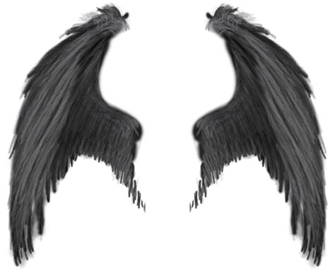 Fallen Angel Wings Transparent