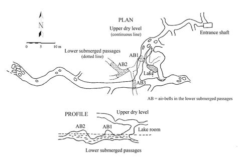 Movile Cave - a unique ecosystem