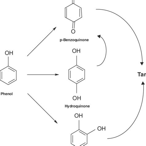 Proposed reaction scheme for oxidation of phenol for kinetic model upon ...