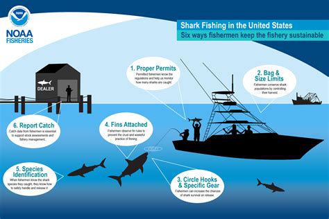 Six Ways Fishermen Keep Shark Fishing Sustainable | NOAA Fisheries