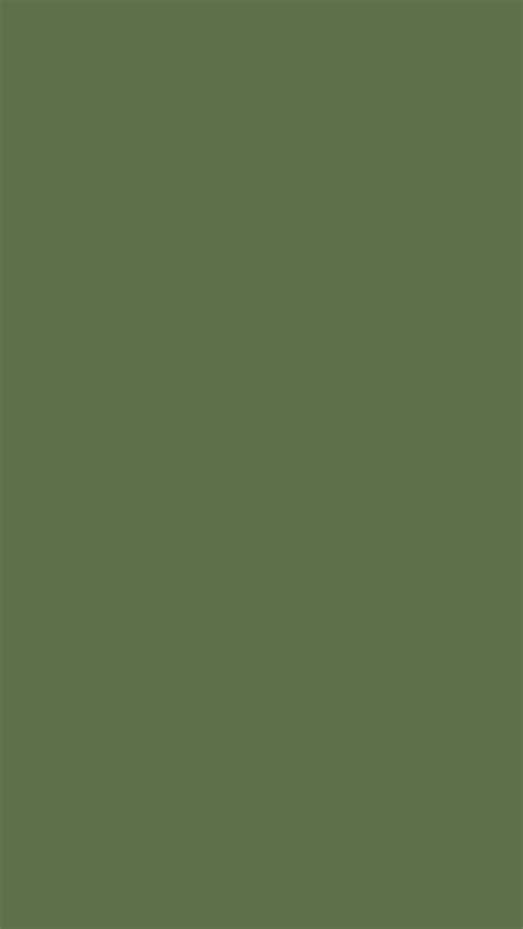 Download Caption: Charming Olive Green Gradient Wallpaper | Wallpapers.com