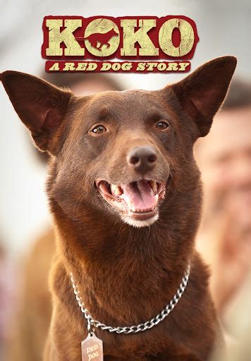 Koko: A Red Dog Story - Movies on Google Play