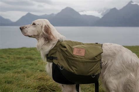 Choose Your Best Dog Backpack for Hiking - trekbible