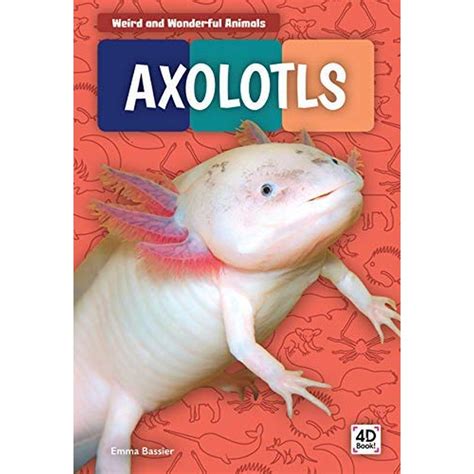 Weird And Wonderful Animals: Axolotls