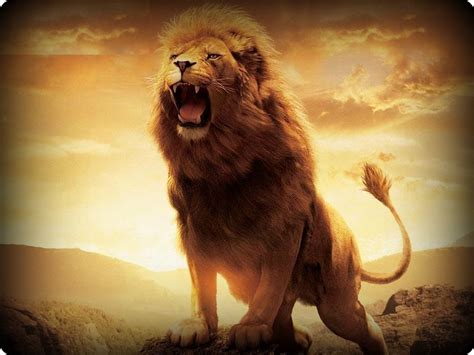 Roaring Lion Wallpaper - WallpaperSafari