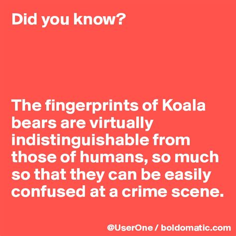 Did you know? The fingerprints of Koala bears are virtually ...