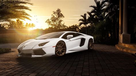 wallpaper Lamborghini, white sports car, car pictures, ultra HD ...