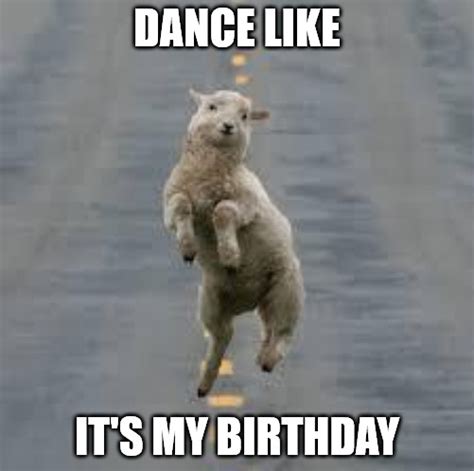 happy birthday dance meme – Happy Birthday Memes