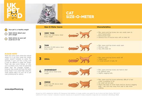 Cat Size-O-Meter | UK Pet Food