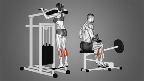 Standing Calf Raises Machine