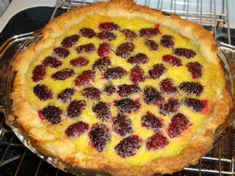 Lemon-Blackberry Pie Recipe - Food.com