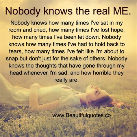 Nobody Knows Quotes. QuotesGram