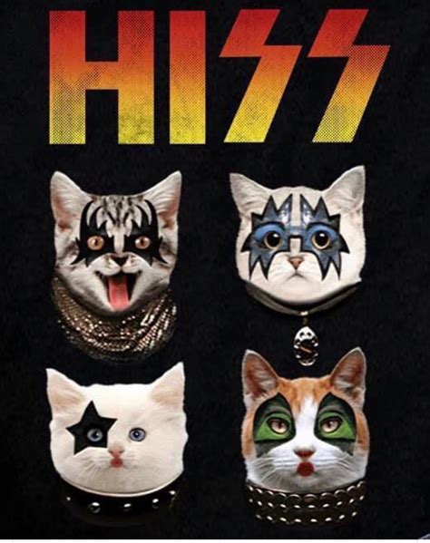 Hiss (Kiss) art funny Silly Cats, Funny Cats, Funny Animals, Cute ...