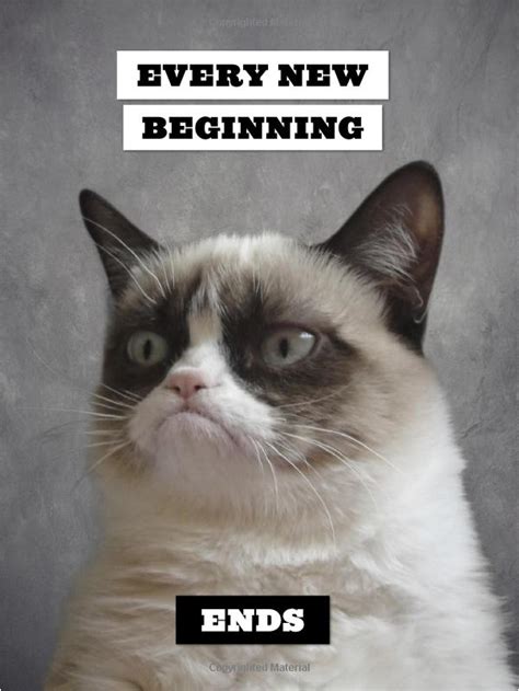 Grumpy Cat: A Grumpy Book | Grumpy Cat Book | In-Stock - Buy Now | at ...