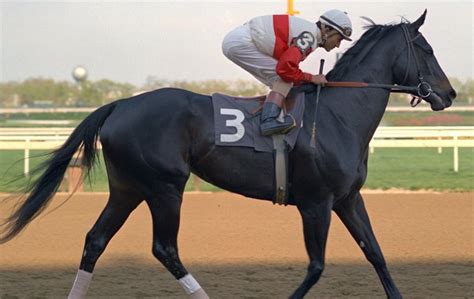 Ruffian goes home: NYRA relocates great filly’s remains to Claiborne ...