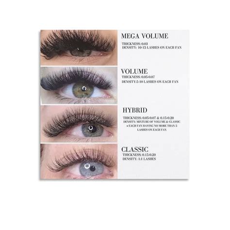 Eyelash Extensions Types | ubicaciondepersonas.cdmx.gob.mx