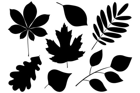 Set silhouettes of autumn leaves rowan maple oak chestnut chestnut ...