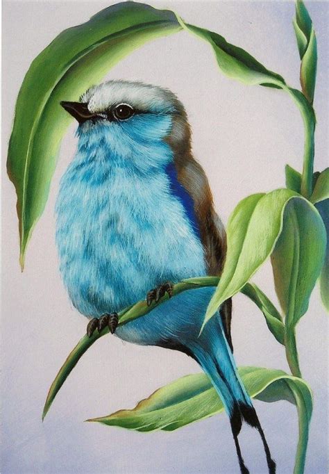 hmm.... | Arte de aves, Dibujos de aves, Pinturas de aves