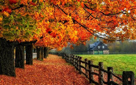 Autumn Fall Tree House Fenc Autumn Wallpaper Examples - High Resolution ...