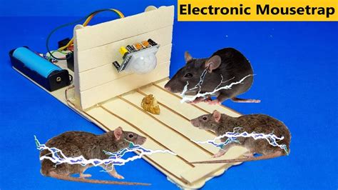 Electric Mouse Trap / Best Electric Mouse Trap / Electronic Rat Trap ...