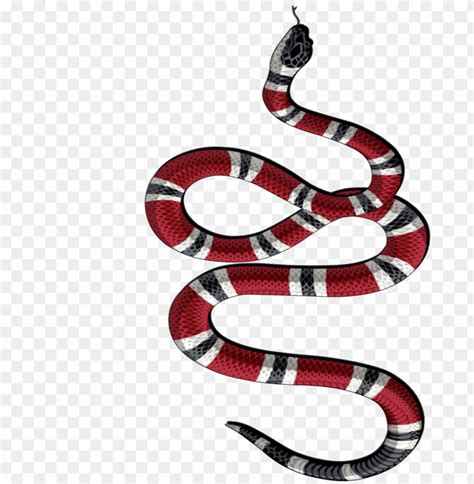 Gucci Png Snake Get up to 50 off