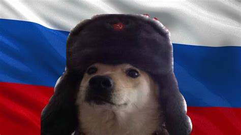 Russian Doge | Funny memes, Doge meme, Memes