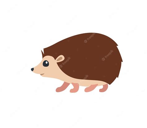 Premium Vector | Hedgehog vector isolated icon. Hedgehog emoji ...