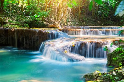 Waterfall in deep rain forest jungle - stock photo 2384031 | Crushpixel