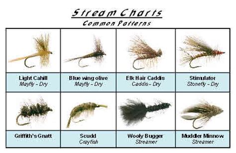 fly chart