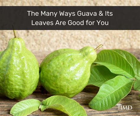 9 Health Benefits of Guava Leaves That Will Surprise You + Tips | 1MD