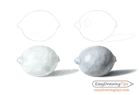 How to Draw a Realistic Lemon Step by Step - EasyDrawingTips