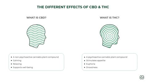 CBD VS THC: learn the differences | Endoca© CBD