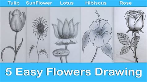 How To Draw Easy Flower Designs Step By | Best Flower Site