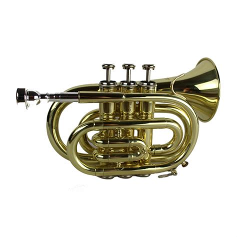 Pocket Trumpet under $200