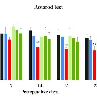 Rotarod test as a locomotive function. Rotarod test was performed prior ...