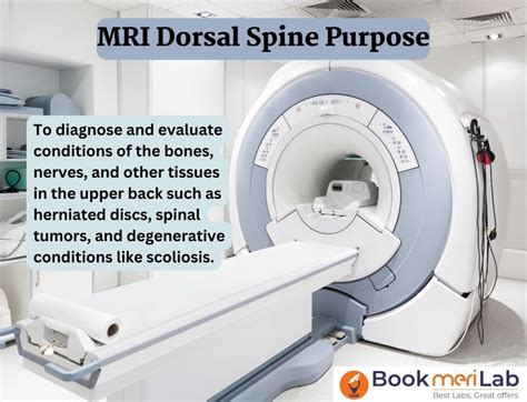 MRI Dorsal Spine: Price, Purpose, Procedure & Results [2024]