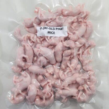 Day-Old Pinky Mice (50/Pack)