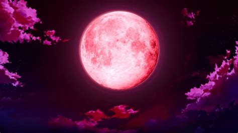 Blood Red Moon Wallpaper