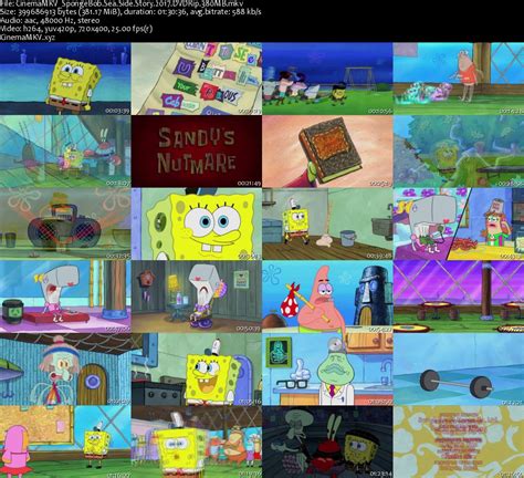 SpongeBob Sea Side Story (2017) DVDRip 380MB - Edylion