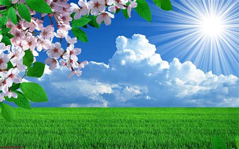 Spring Flower Landscape Wallpapers - Top Free Spring Flower Landscape ...