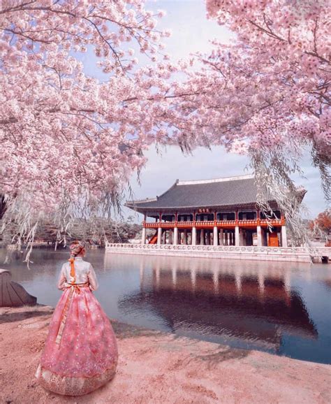 Cherry Blossom in Gyeongbokgung Palace – Seoul, South Korea - Dotz Soh