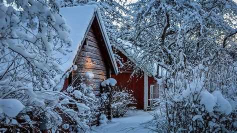 HD wallpaper: sweden, snow, winter, cold, sun, beem, forest, red, white ...