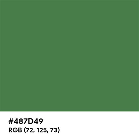 Mint Green color hex code is #487D49