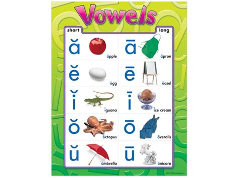 Vowels Photo Poster at Lakeshore Learning