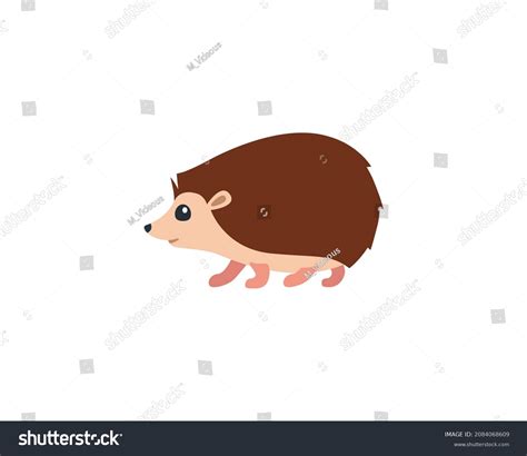 Hedgehog Vector Isolated Icon Hedgehog Emoji Stock Vector (Royalty Free ...