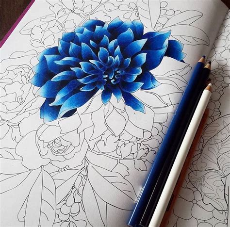 Pencil Adult Coloring Pages