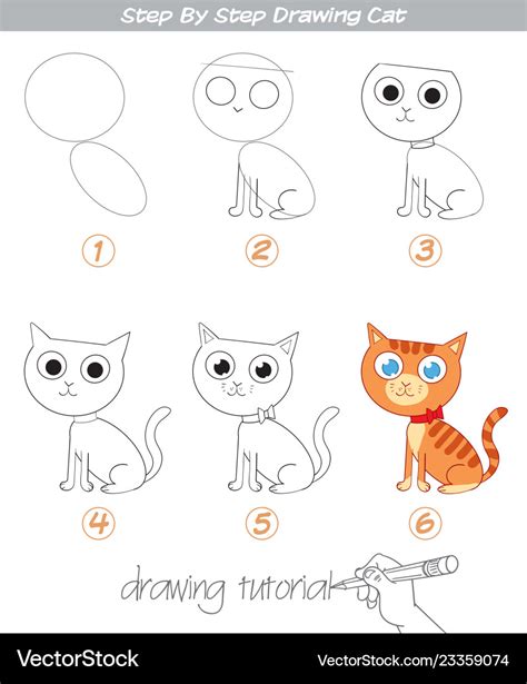 Drawing tutorial step by step cat Royalty Free Vector Image